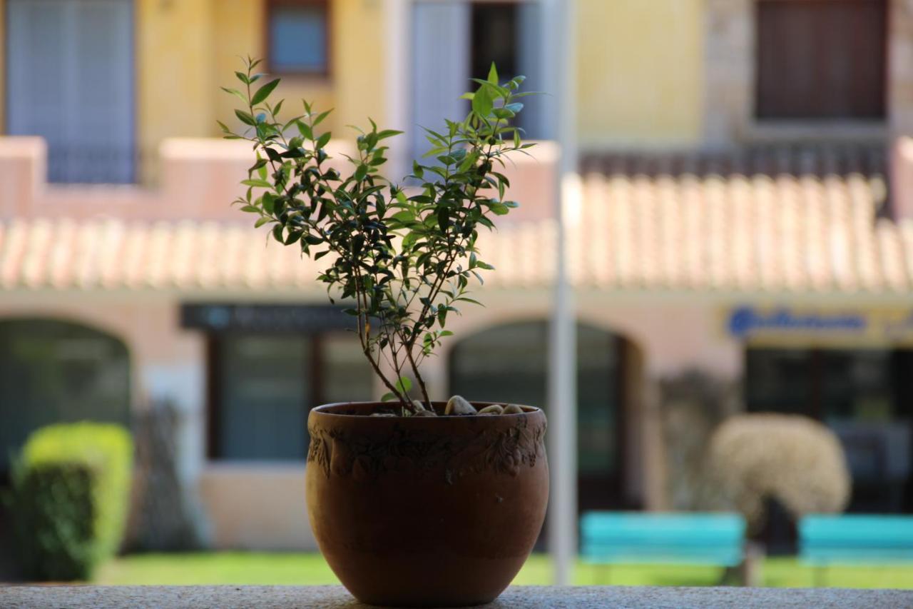 Le Vele Apartment